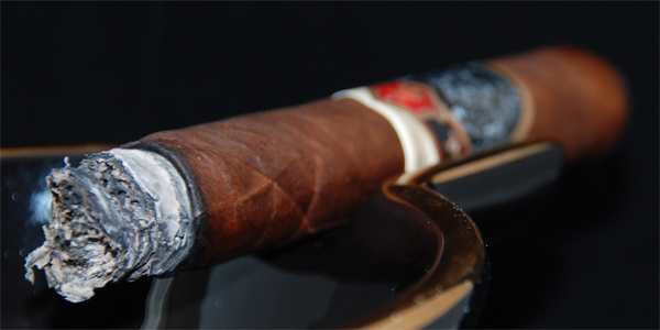 Padilla Dominus - 5